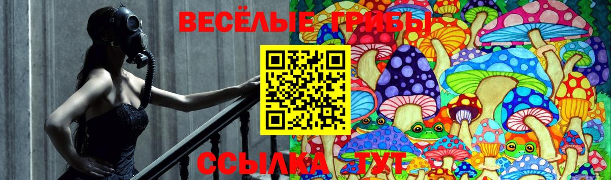 Галлюциногенные грибы Psilocybe Татарск